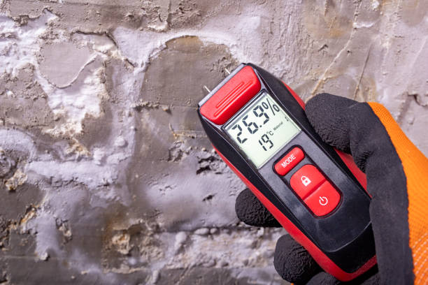 Best Insurance-Related Mold Remediation in Marlow Heights, MD