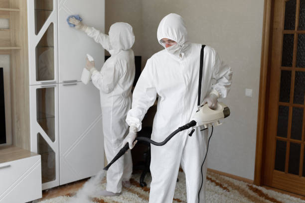 Best Black Mold Remediation in Marlow Heights, MD